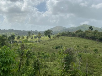 a landscape of a mountain