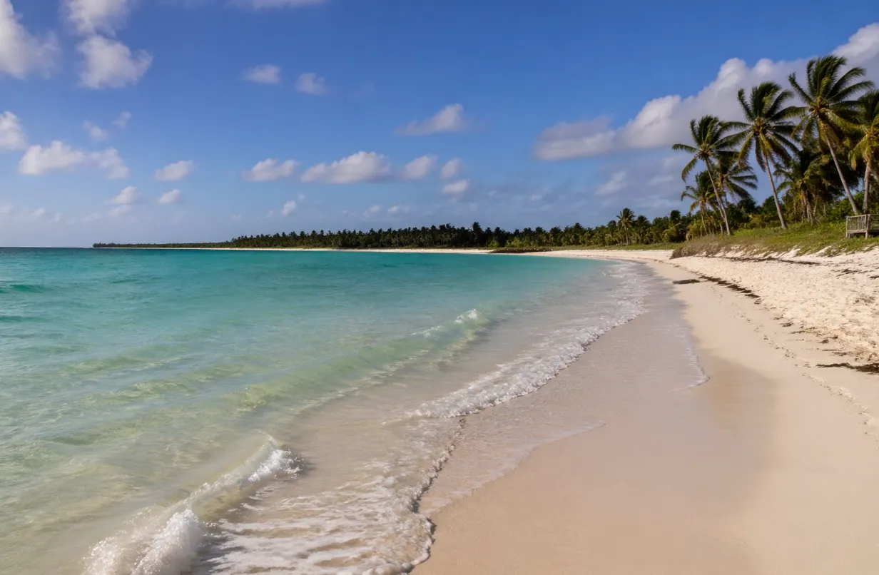 beach sand